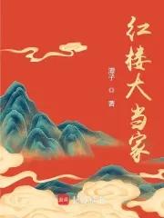 红楼大当家好看吗