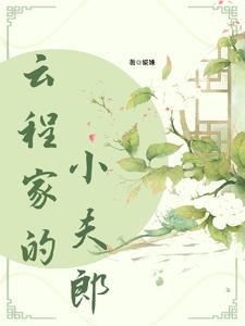 福星小夫郎鱼百百番外免费阅读