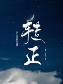 转正申请表个人总结