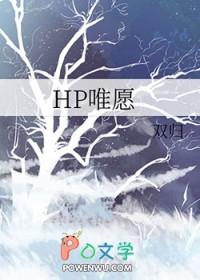哈利波特同人原耽