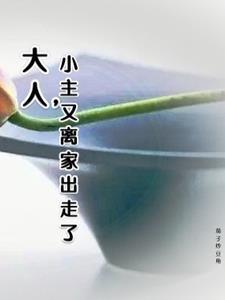 离家出走的大人一般会去哪