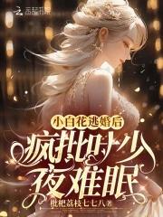 免费阅读小白花女主专业户