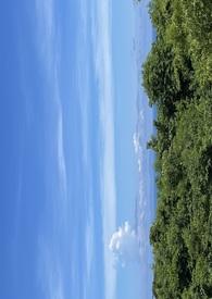 错过了是青春