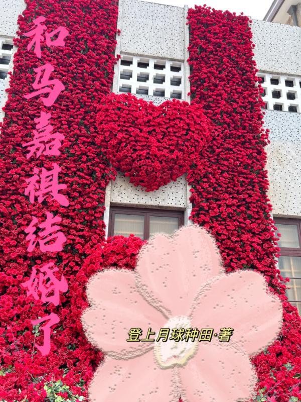 马嘉祺结婚场景