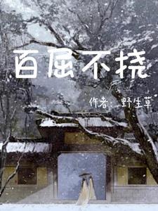 不屈不挠的近义词