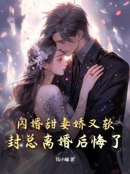 闪婚总裁太霸道封以漠免费阅读