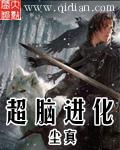 最终进化