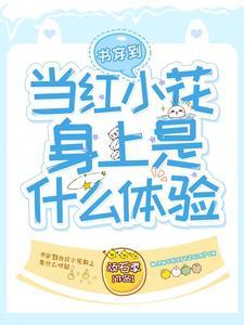 穿到书里好看的