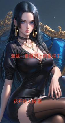 海贼之我爱罗宾