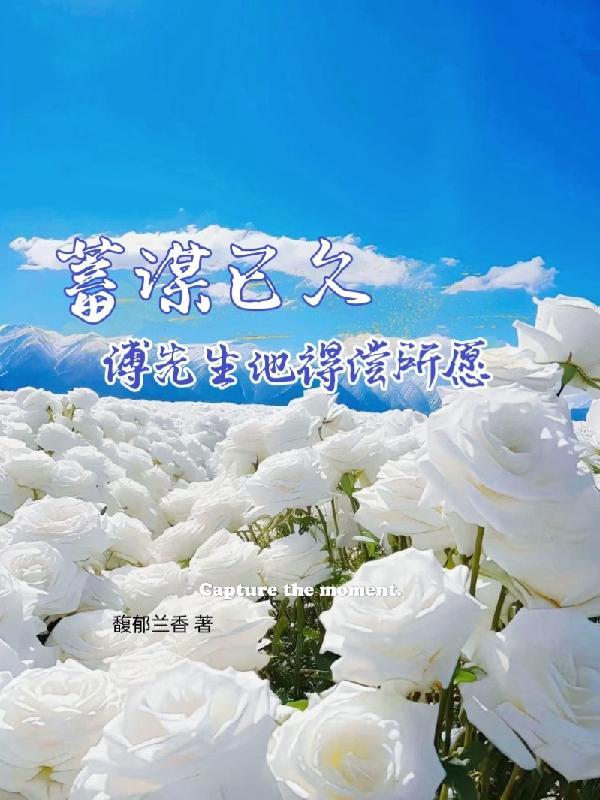 蓄谋已久总裁先生矜持点全文免费阅读