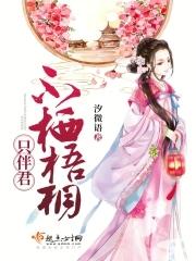 不知梧桐雨