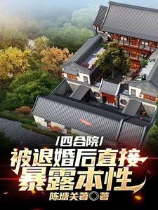 四合院黑稳苟老六的