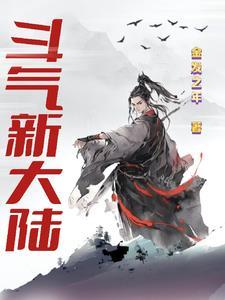 斗气大陆后续