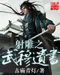 射雕武穆遗书厉害吗