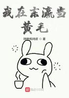我在东瀛当黄毛txt