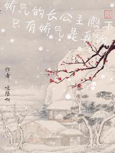 假冒公主的电视剧