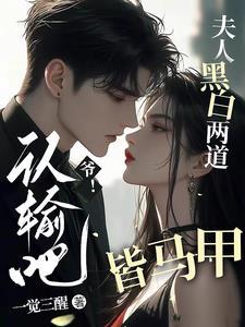 夫人黑白两道皆马甲txt