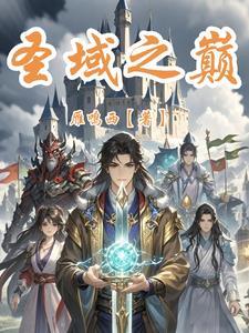 圣域怎么样