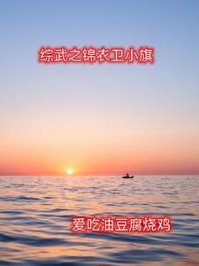 综武最强锦衣卫