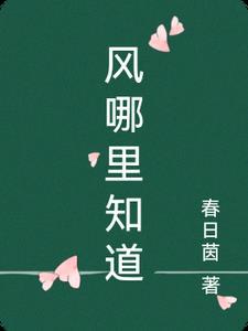 风到底在哪儿