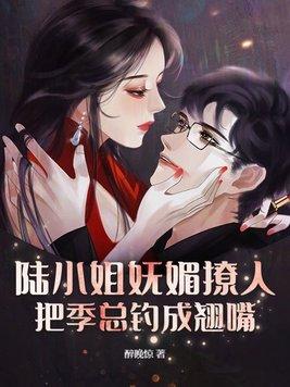 陆小姐又美又娇全文免费
