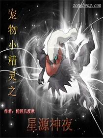 宠物小精灵x神