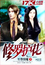 修罗护花之叶不凡