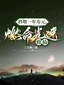 秒增一年寿元燃命光速修仙的由来和历史背景