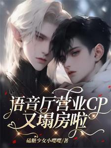 语音厅取什么名字