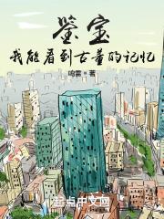 找个主角能看出古董的光