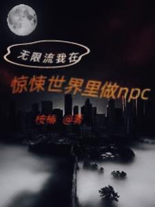 穿越到无限恐怖的世界完本