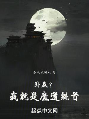 魔道卧底每天都在
