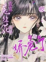 哨兵向导 文