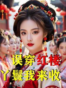 误穿红楼丫鬟我来收 极淡久才散仙