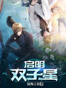 启明星二号百度百科
