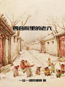 四合院生活的电视剧