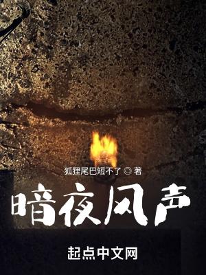 暗夜风声全文免费阅读无弹窗