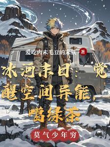 末日觉醒冰异能类