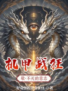 机甲狂妃