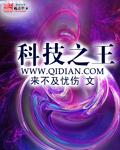 香江1985科技之王