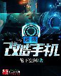 自己改造手机