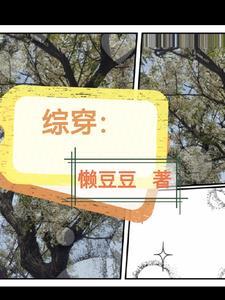 综穿女配