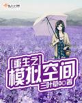 模拟器重生