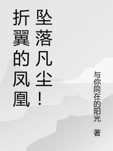 凤凰折翼空难