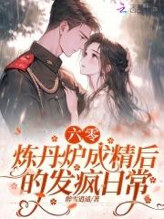 炼丹炉成精后的发疯日常 醉雪逍遥
