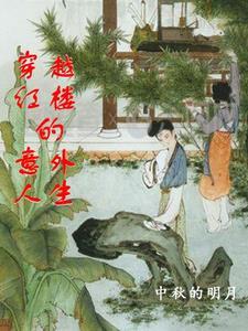 穿越红楼外室