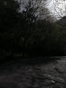 凝望的意思是什么呢