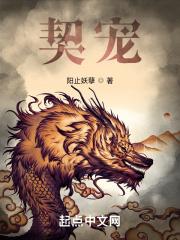 契宠兽动漫全集