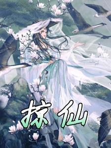 掠仙踪