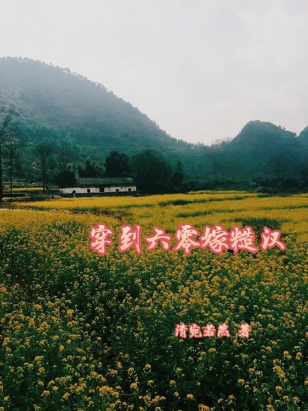 六十年代嫁糙汉